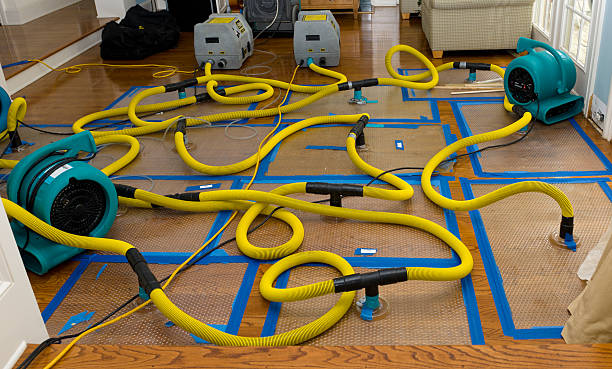 Professional Water Extraction technician working in Houston, AL
